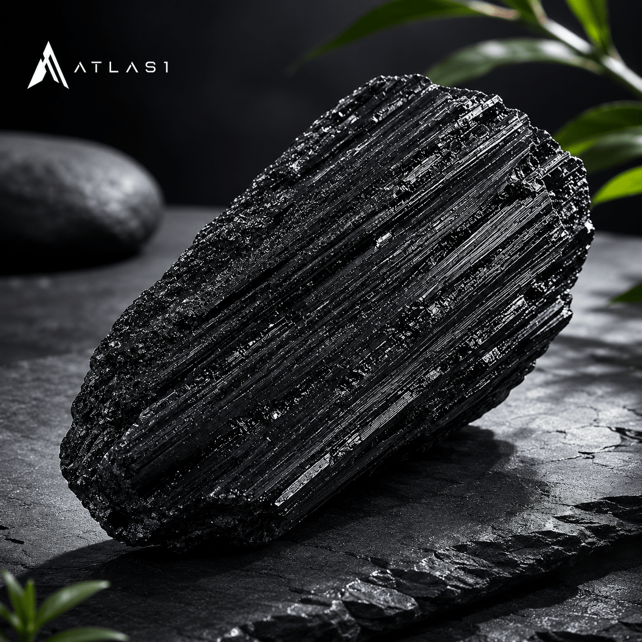 Black Tourmaline Energy Protection Healing Crystal - ATLAS 1